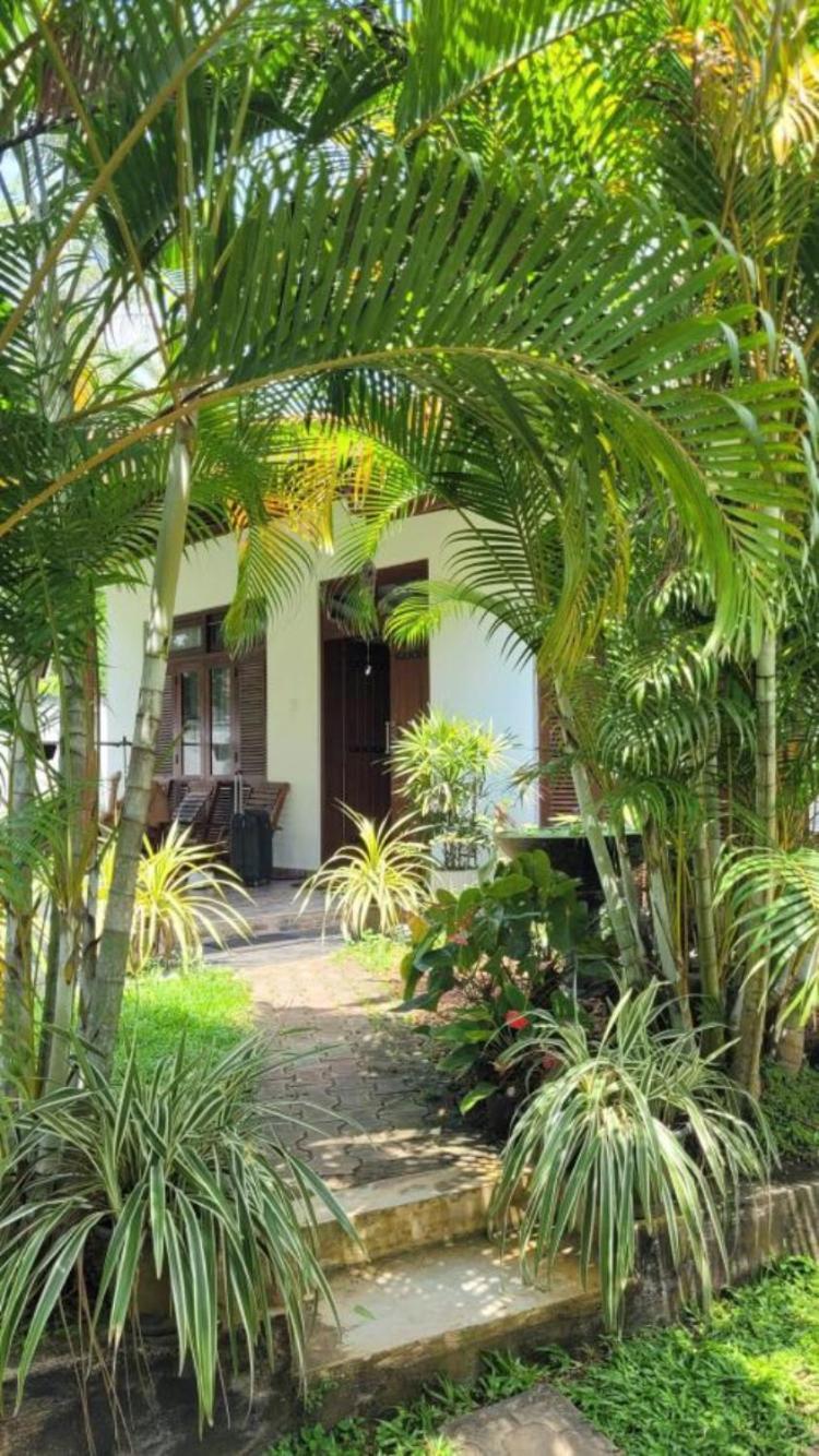 Mirewon Guest Hotell Weligama Exteriör bild