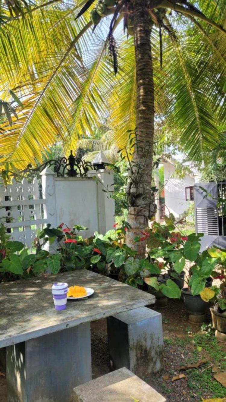 Mirewon Guest Hotell Weligama Exteriör bild