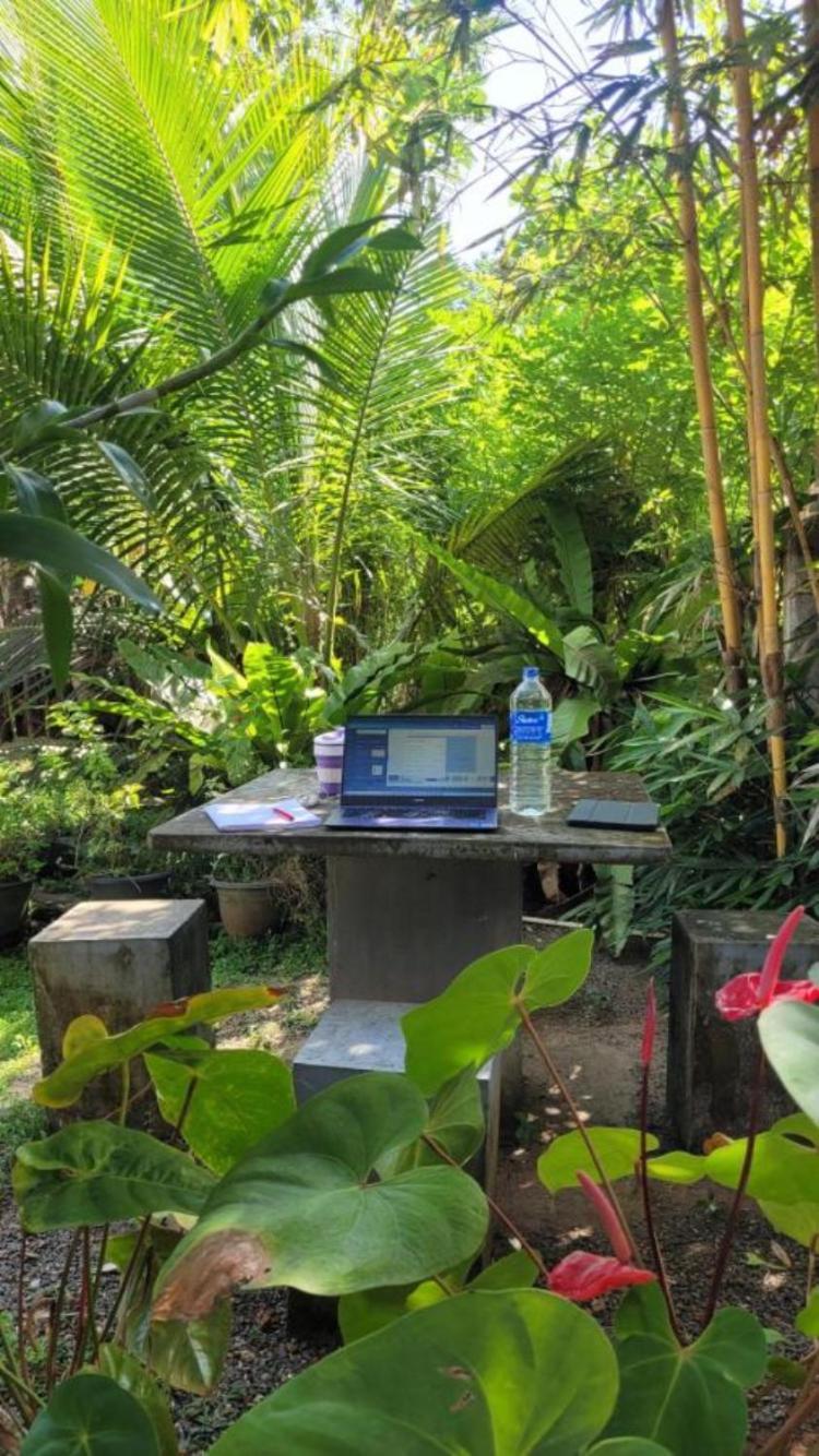 Mirewon Guest Hotell Weligama Exteriör bild